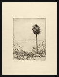Palm Springs, Wallace DeWolf, 1918