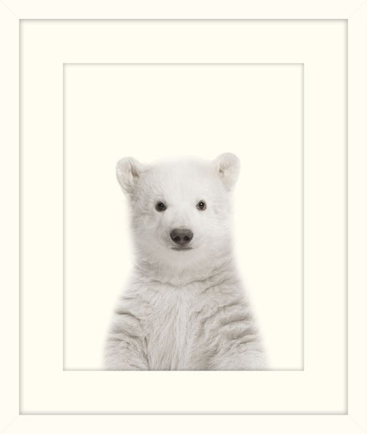 Little Polar Bear