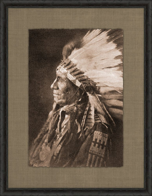 Portrait of American Horse, Sioux - Edward S. Curtis, 1906