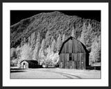 Barn, Rural Montana I