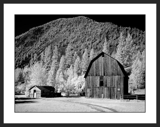 Barn, Rural Montana I
