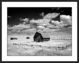 Barn, Rural Montana II