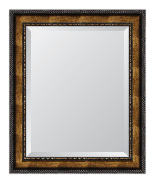 3 5/8" Gold Rope Scoop Resin Frame Mirror