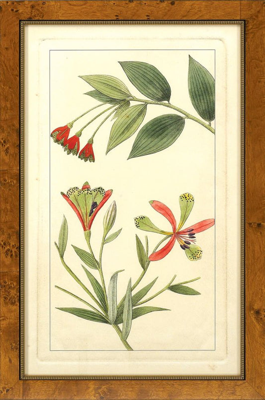 Rachel's Tropicals III