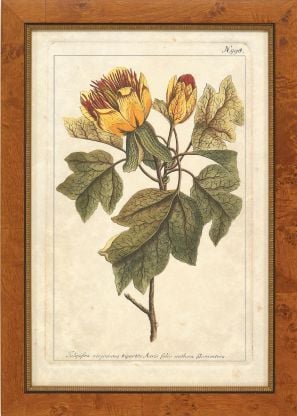 Autumn Weinmann VIII