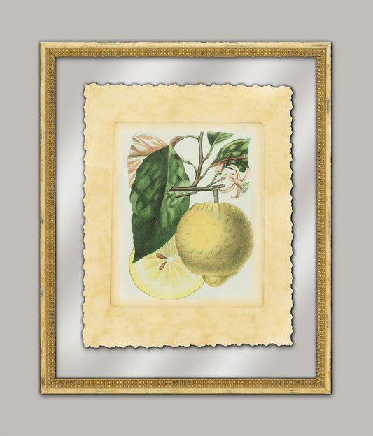 French Lemon Study I