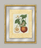 French Orange Study II