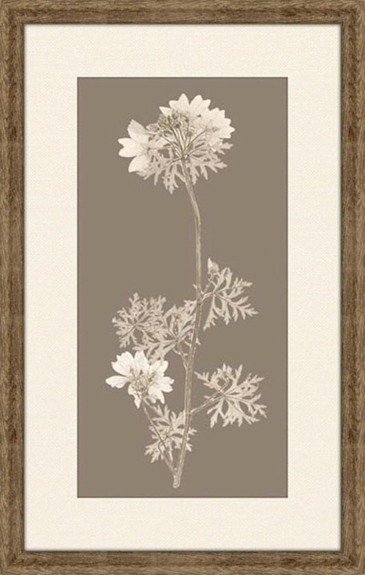 Taupe Nature Study II