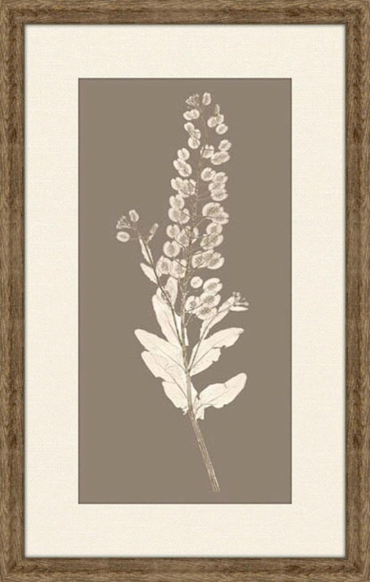 Taupe Nature Study III