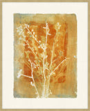 Pursuit of Happiness