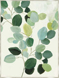 Branch of Green II on Canvas