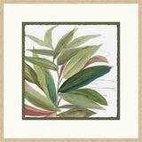 Green House Plant II