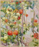 Tomatoes on the Vine  Canvas
