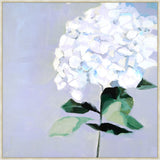 Big Hydrangea on Canvas