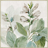 Radiant Grow on Canvas