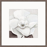 Elegant Bloom II Petite