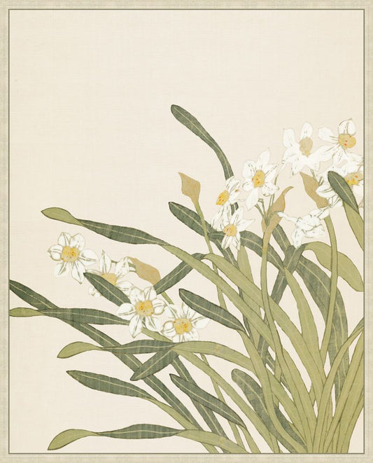 Narcissus II on Canvas