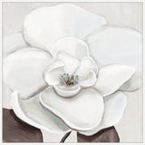 Elegant Bloom II on Canvas