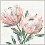 King Protea I Canvas