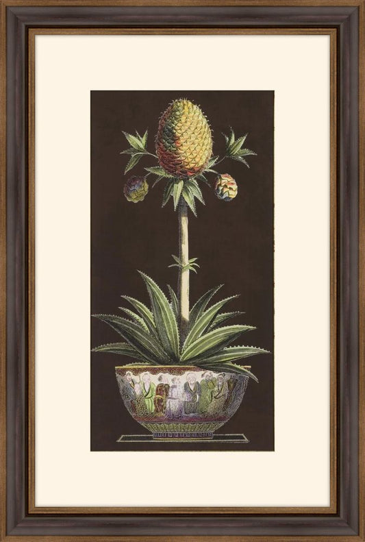 Potted Pineapple I