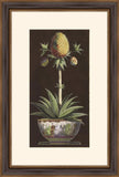 Potted Pineapple I