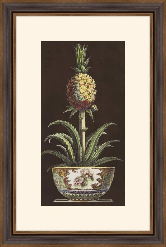 Potted Pineapple II
