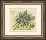 Blue Lotus Flower I