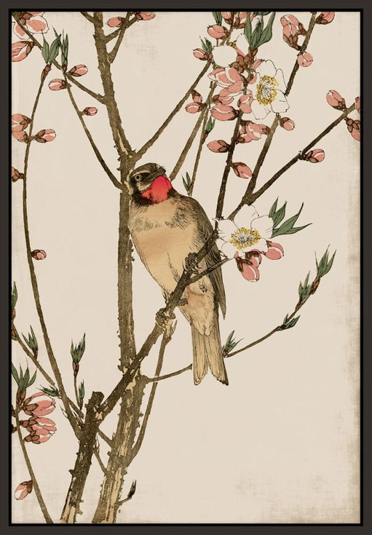 Ruby Throat and Peach Blossoms Petite on Canvas