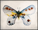 Mariposa I on Canvas