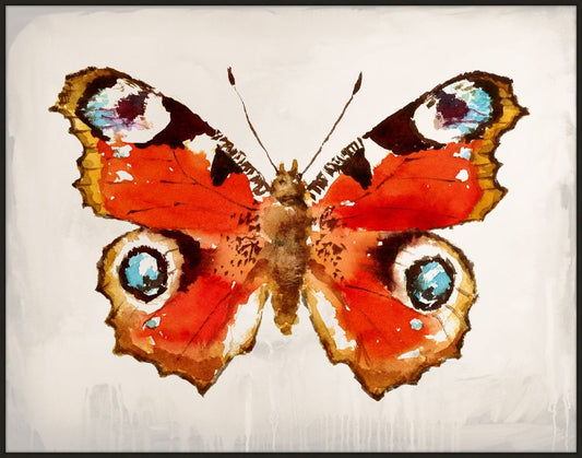 Mariposa II on Canvas