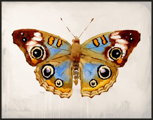 Mariposa III on Canvas