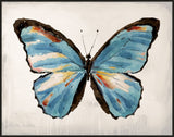 Mariposa IV on Canvas