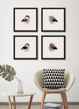 Plump Birds, Set of 4
