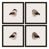Plump Birds, Set of 4