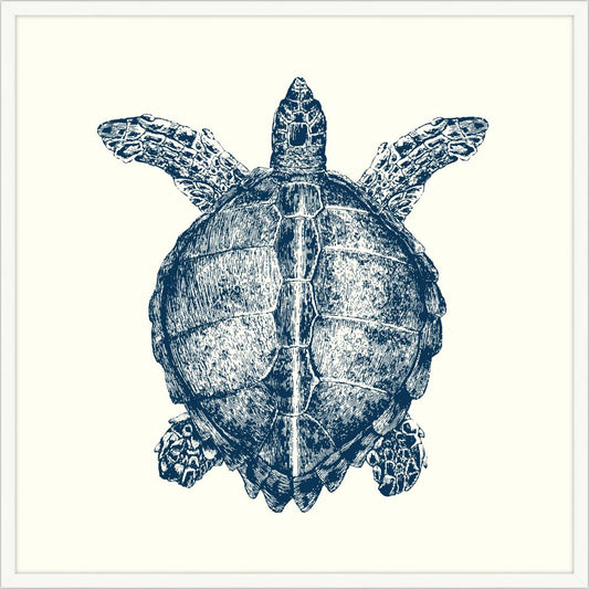 Turtle in Blue with White Frame