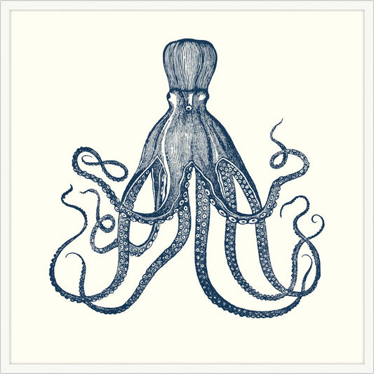 Octopus in Blue with White Frame