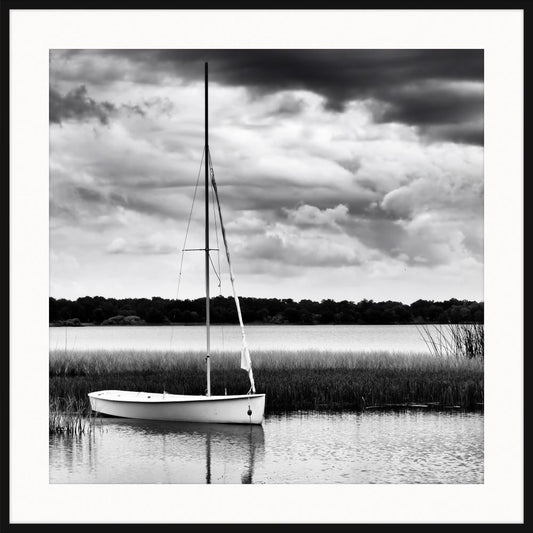 Sailboat in the Reeds