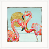 Shall We Dance the Flamingo?