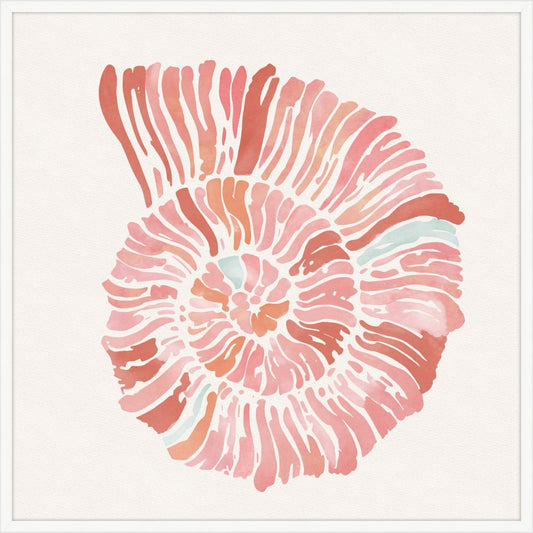 Nautilus in Pretty Coral Petite II