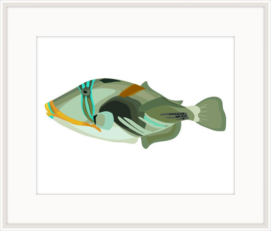 Picasso Trigger Fish