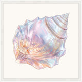 Chromatic Shell I