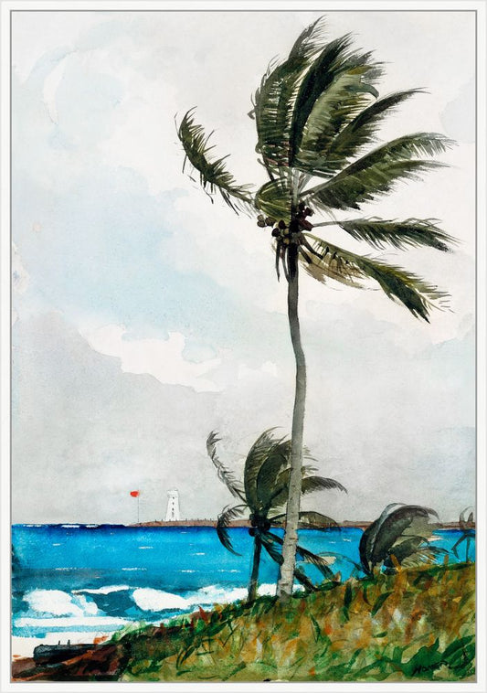 Palm in the Storm on Canvas