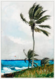 Palm in the Storm on Canvas