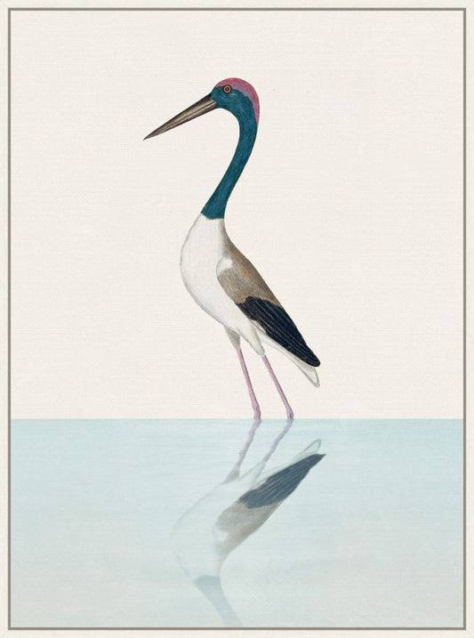 Black Necked Stork on Canvas