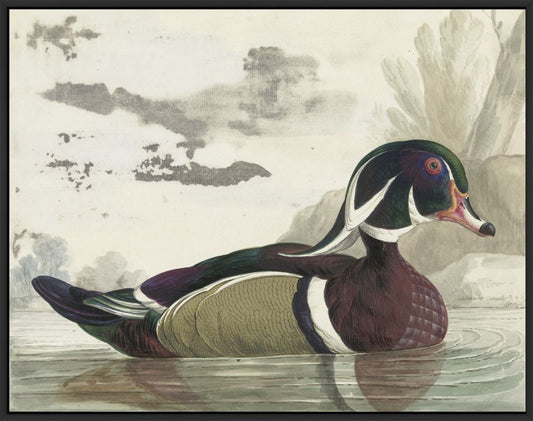 Carolinea End in the Pond