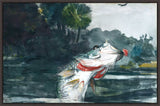Life-sized Bass on Canvas