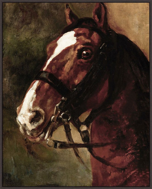 Bay Horses on Canvas