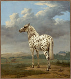 The Piebald Horse on Canvas