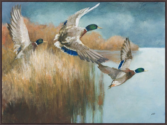 Wild Wings on Canvas