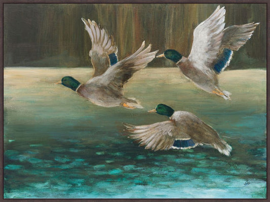 Mallard Flight on Canvas